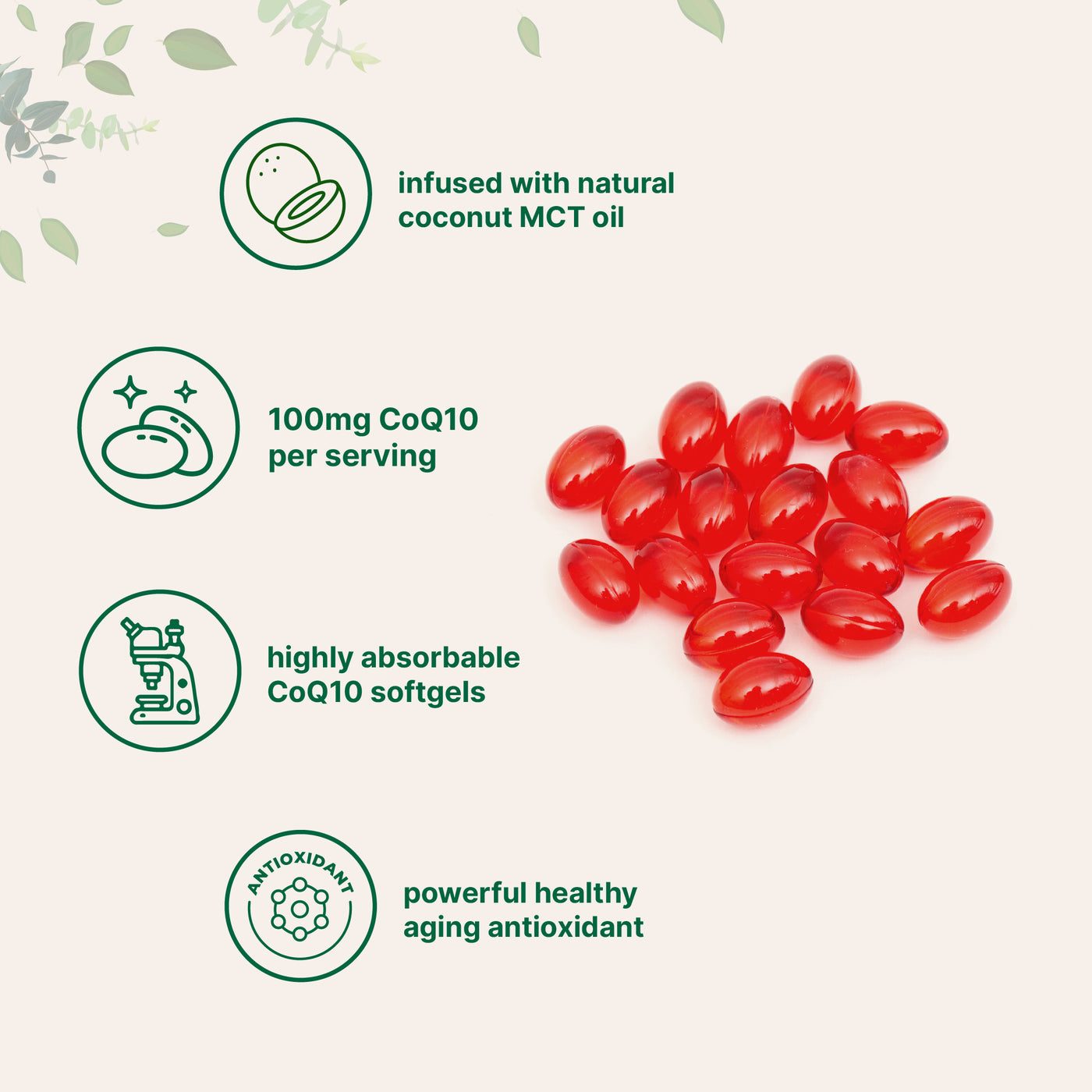 CoQ10 100mg Per Serving | 240 Softgels made with Coconut MCT Oil