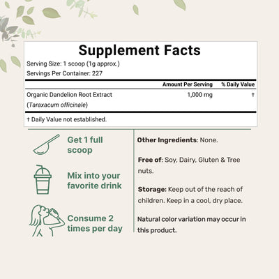 Micro Ingredients Organic Dandelion Root Powder