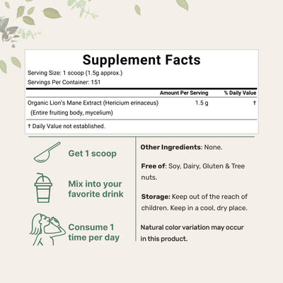 Micro Ingredients Organic Lions Mane Mushroom Supplement Powder