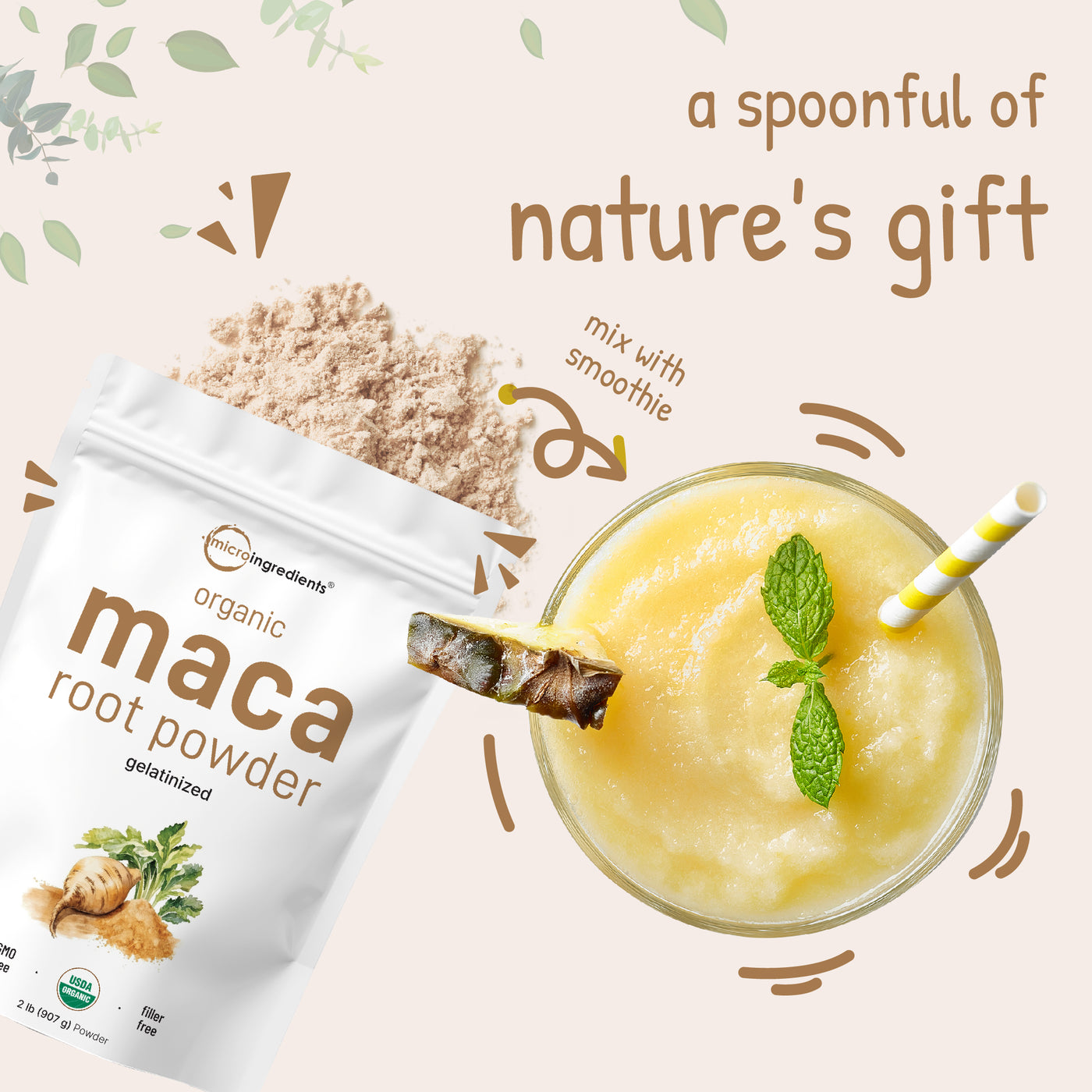 Micro Ingredients Organic Maca Root Powder 2 Pound